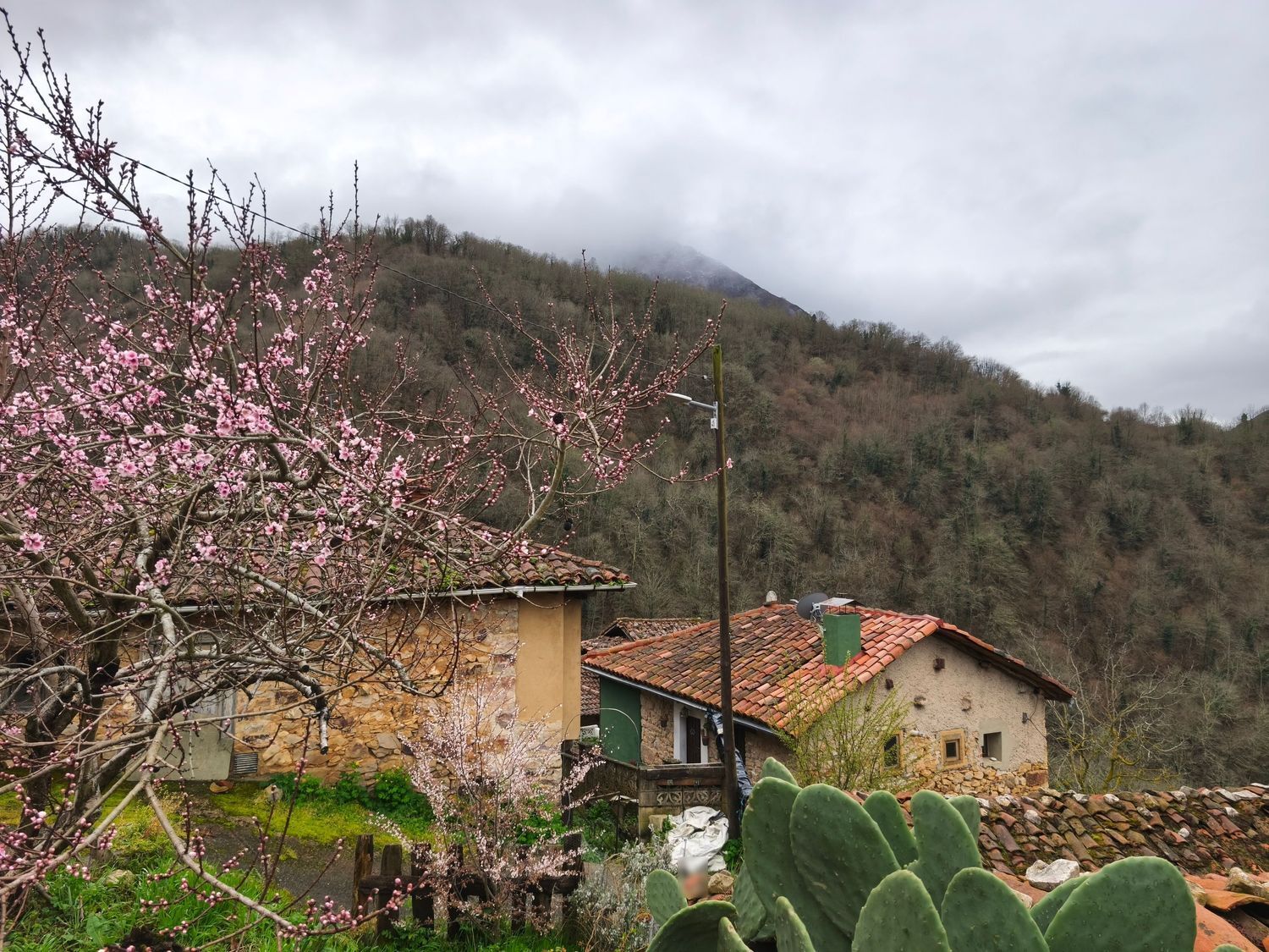 Casas o chalets-Venta-Proaza-2177136-Foto-28