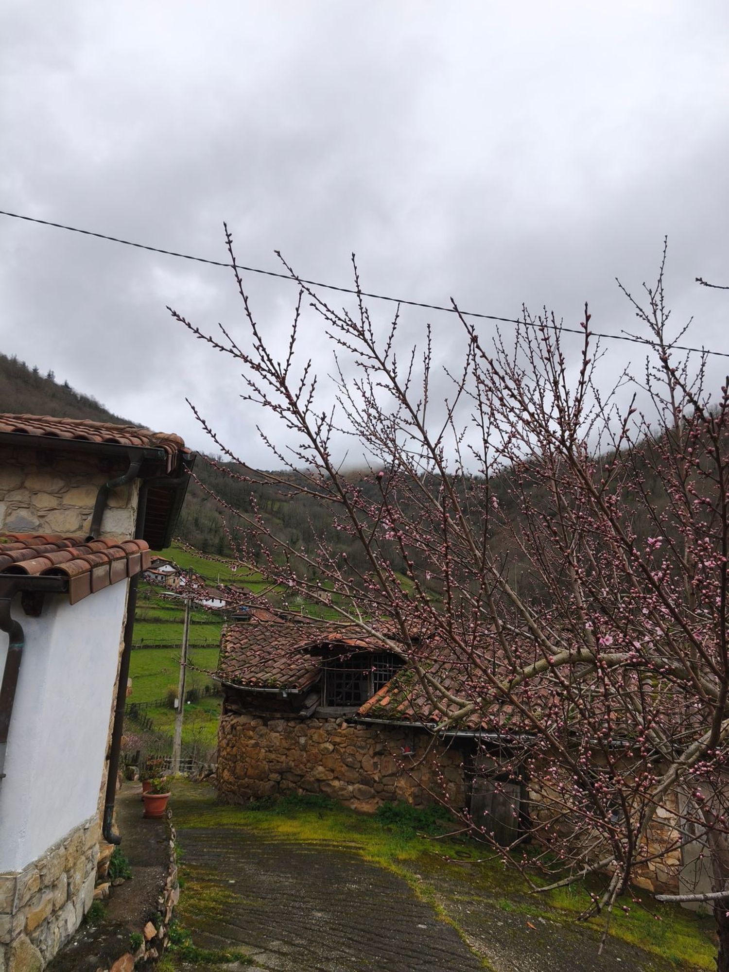 Casas o chalets-Venta-Proaza-2177136-Foto-40