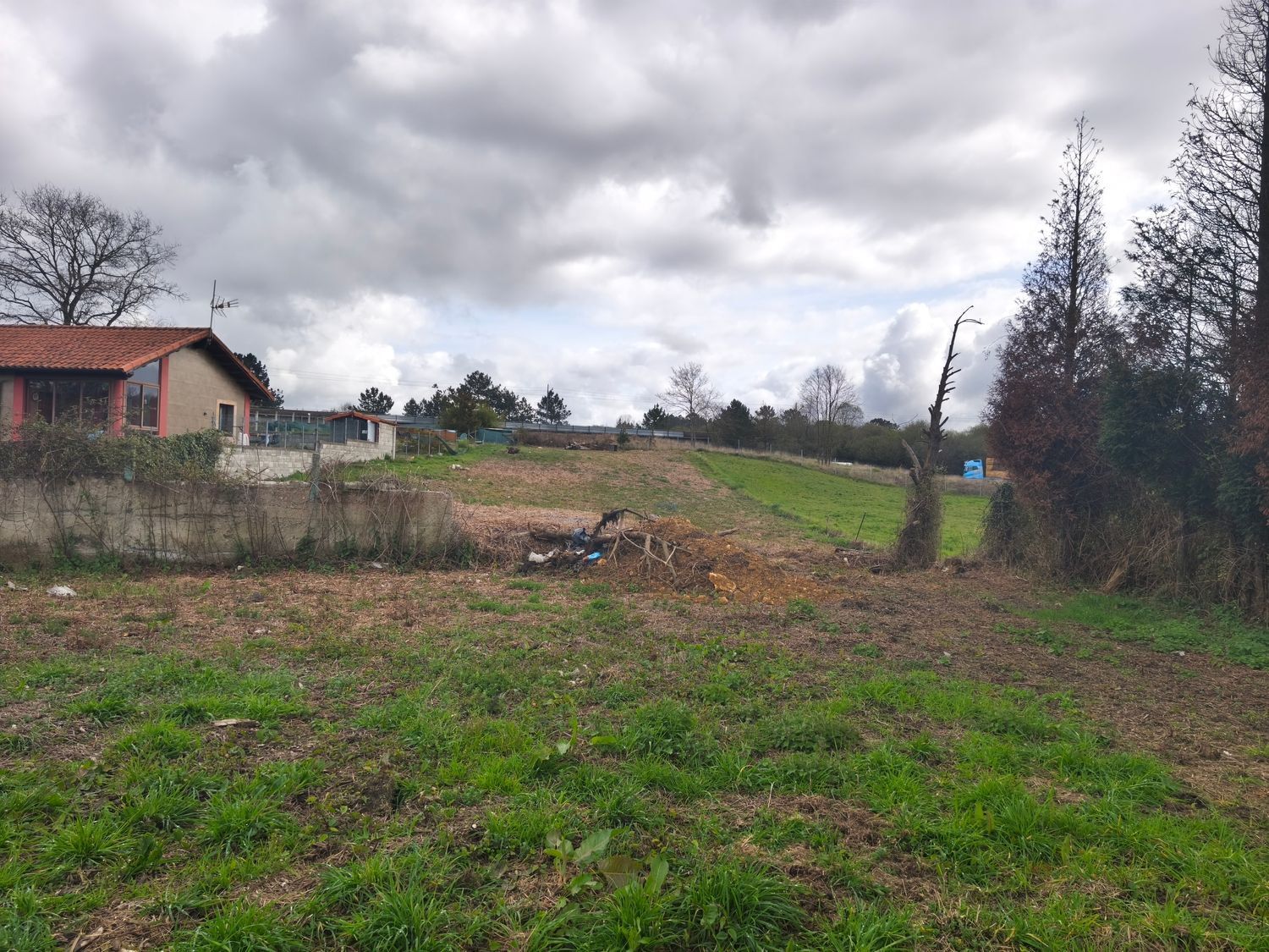 Fincas y solares-Venta-Llanera-2201323-Foto-11