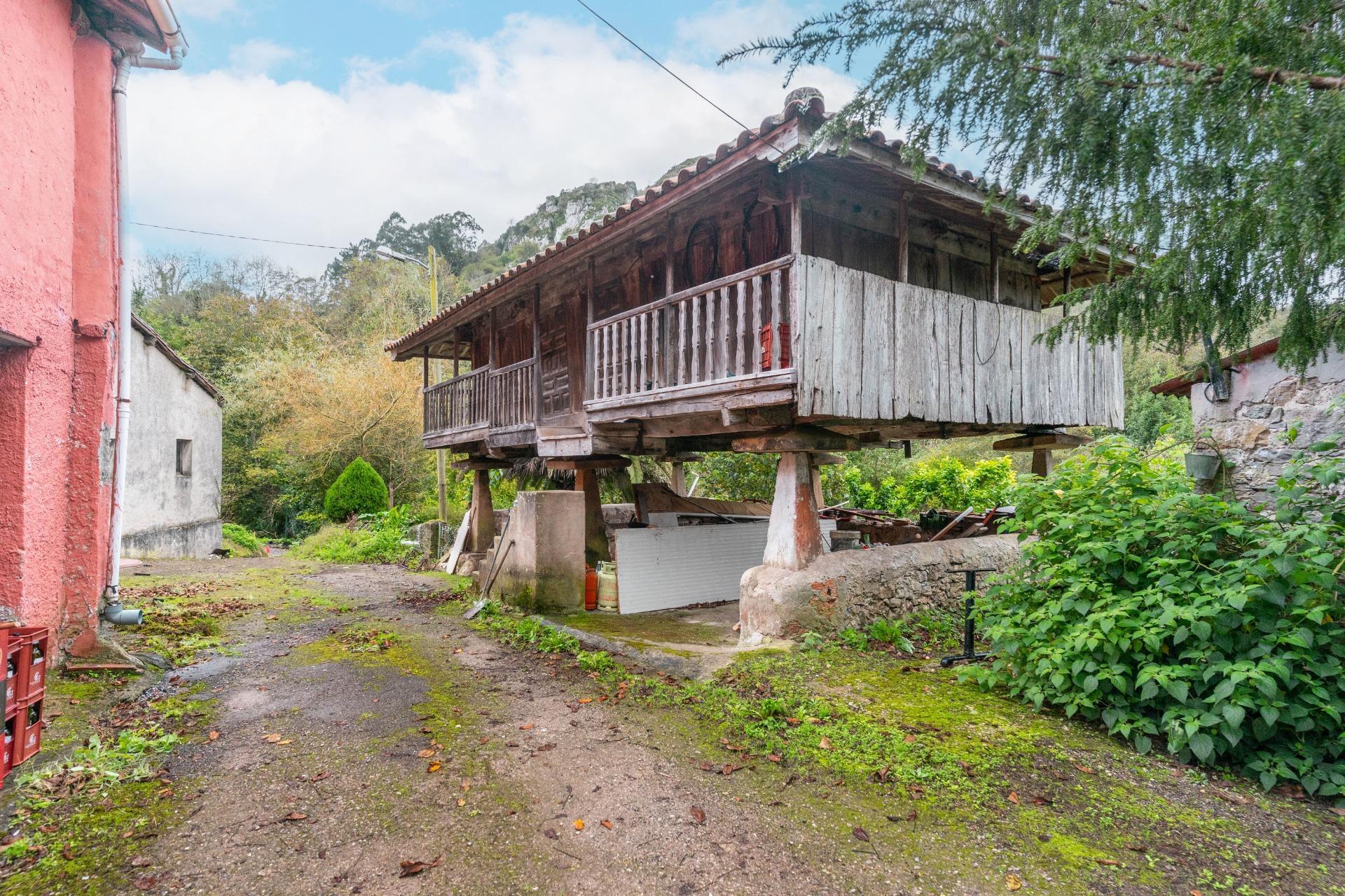 Casas o chalets-Venta-Siero-1462415-Foto-6