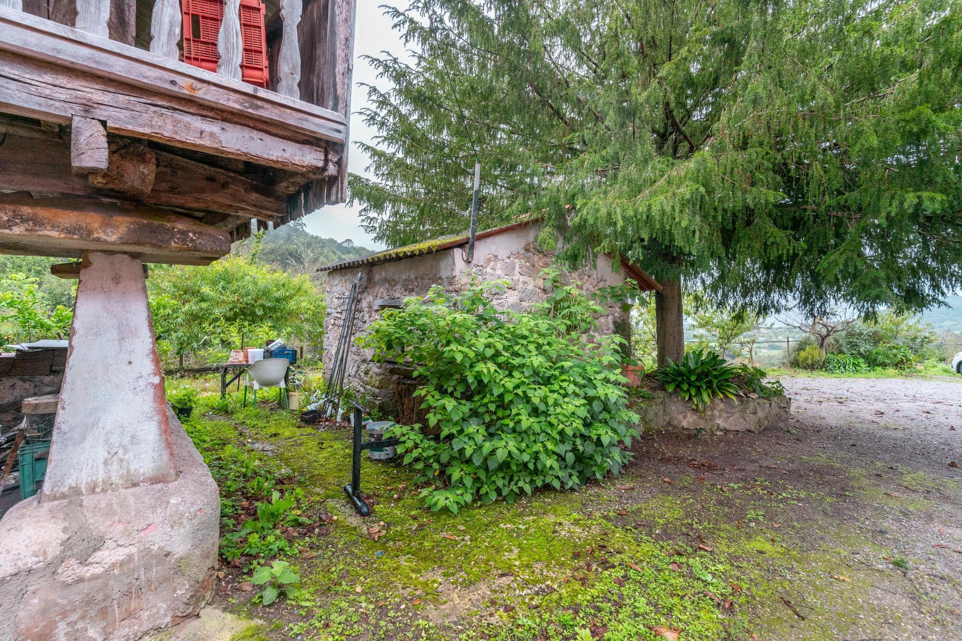 Casas o chalets-Venta-Siero-1462415-Foto-42