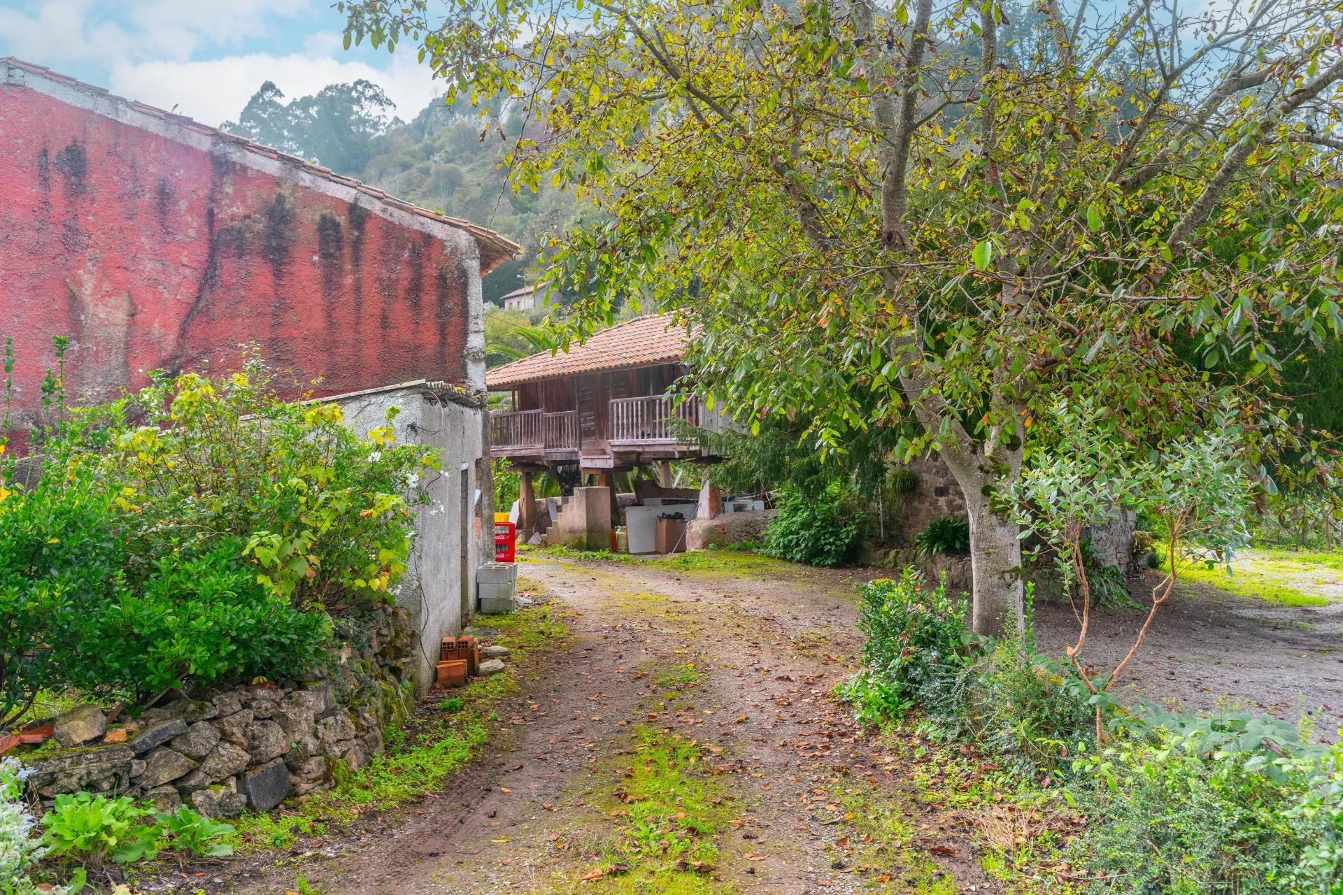 Casas o chalets-Venta-Siero-1462415-Foto-44