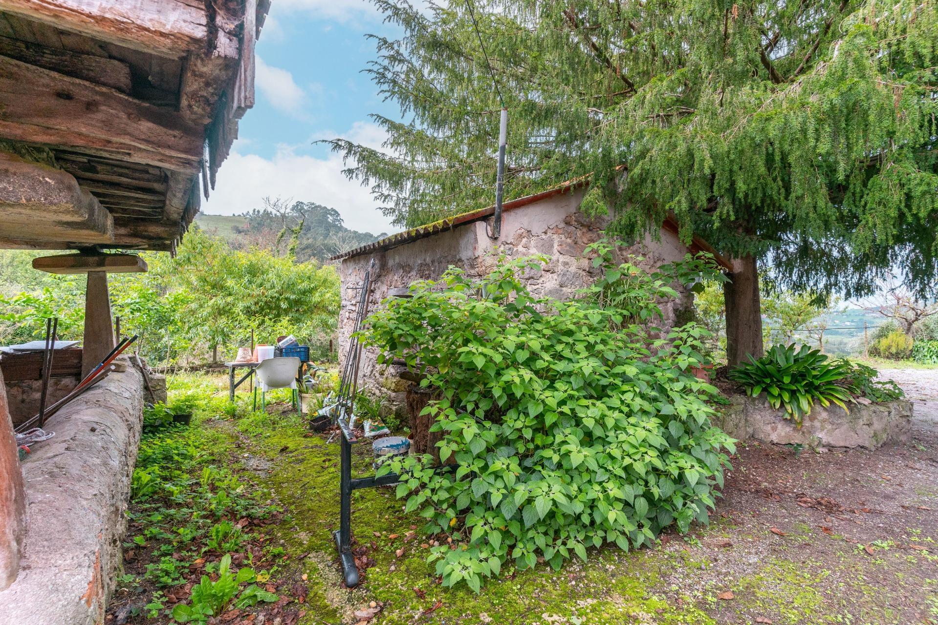 Casas o chalets-Venta-Siero-1462415-Foto-43