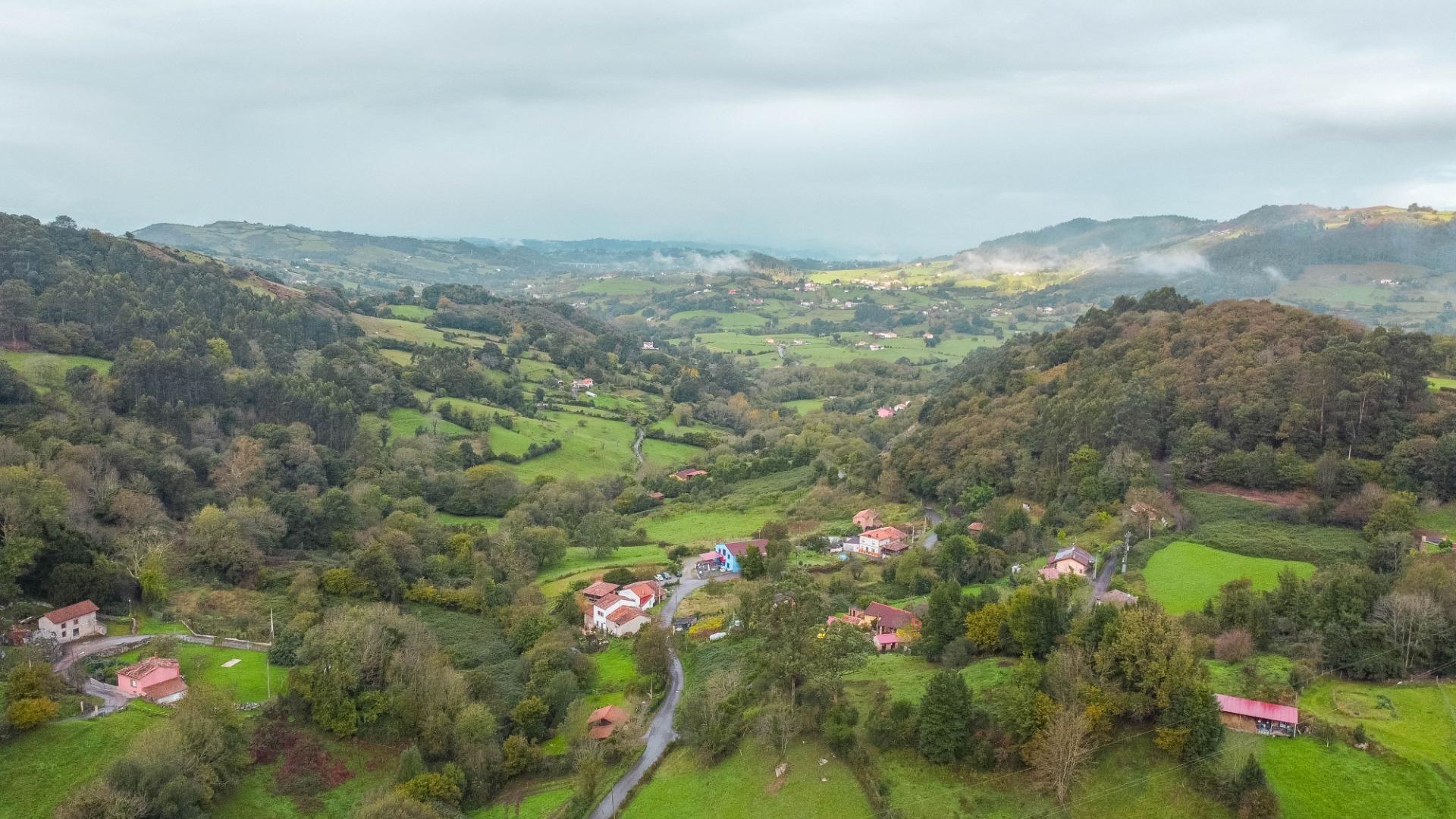 Casas o chalets-Venta-Siero-1462415-Foto-56