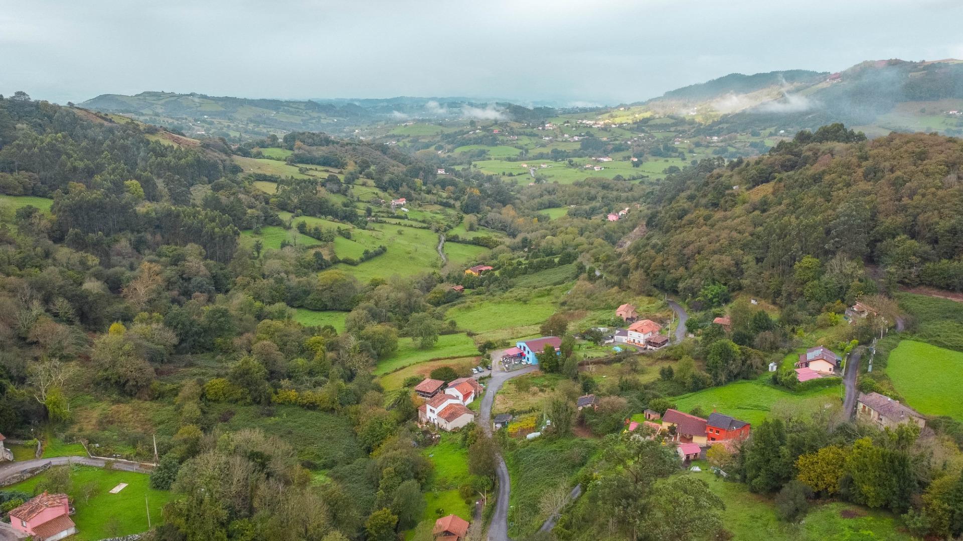 Casas o chalets-Venta-Siero-1462415-Foto-59