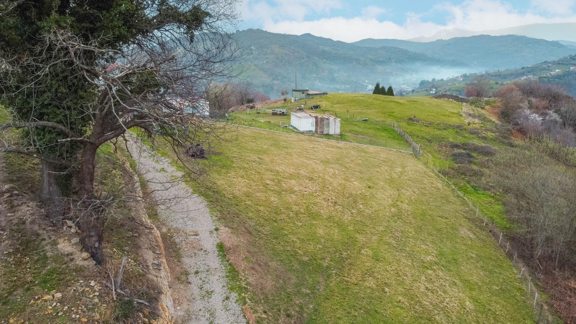 Fincas y solares-Venta-Langreo-2411543-Foto-21