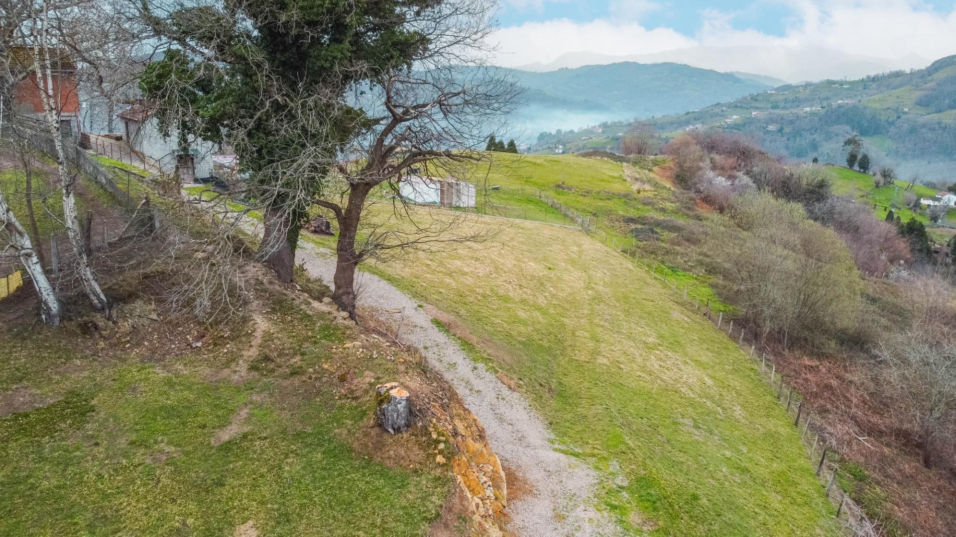 Fincas y solares-Venta-Langreo-2411543-Foto-20