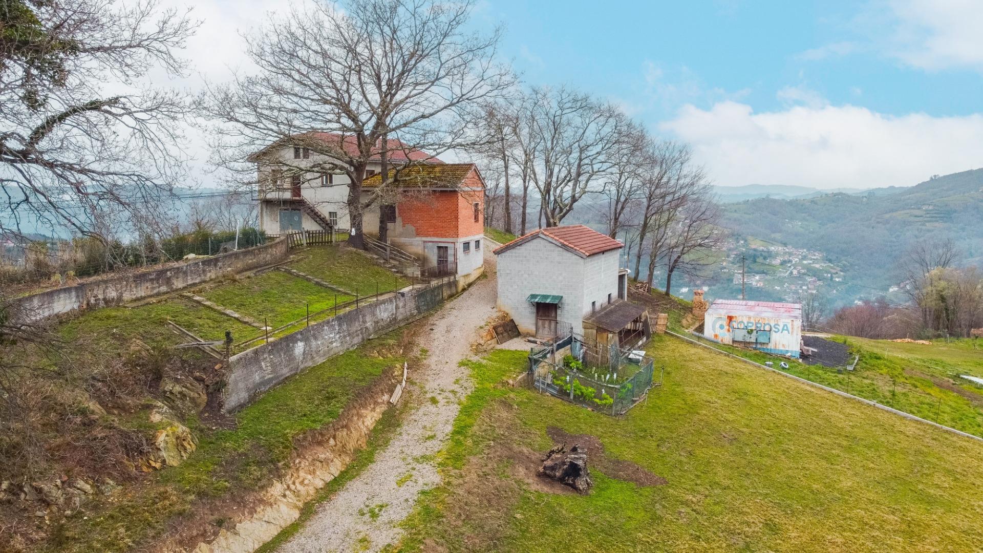 Fincas y solares-Venta-Langreo-2411543-Foto-24