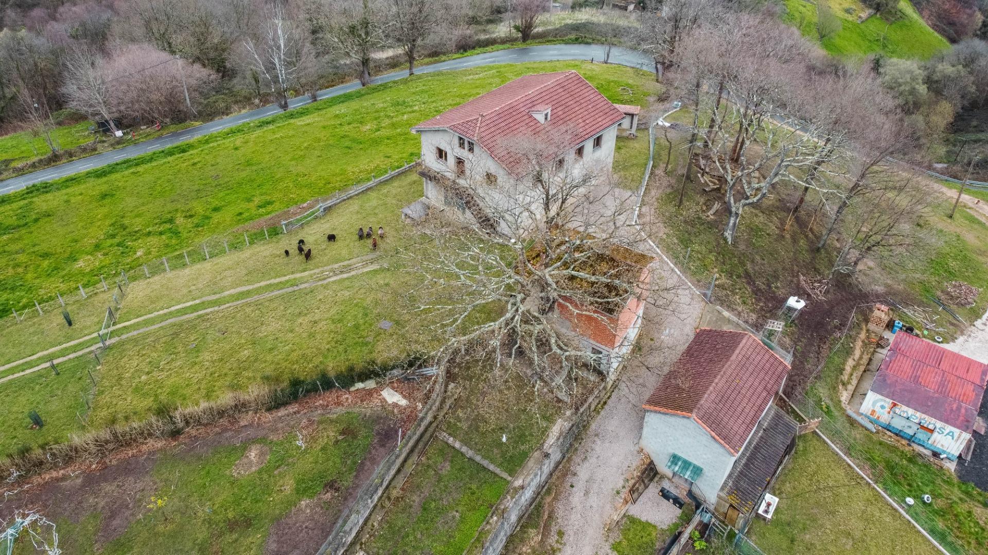 Fincas y solares-Venta-Langreo-2411543-Foto-29