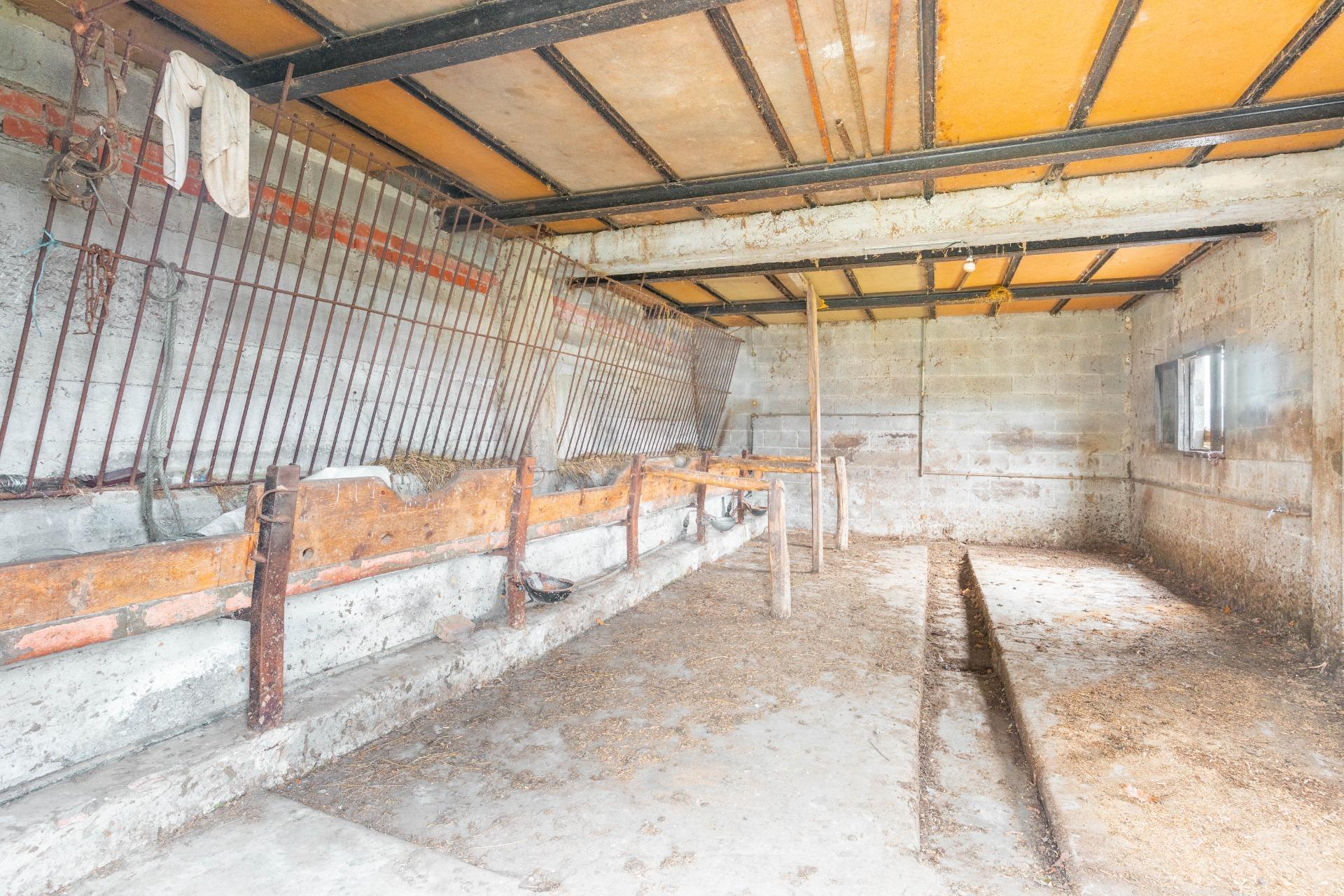 Fincas y solares-Venta-Langreo-2411543-Foto-28