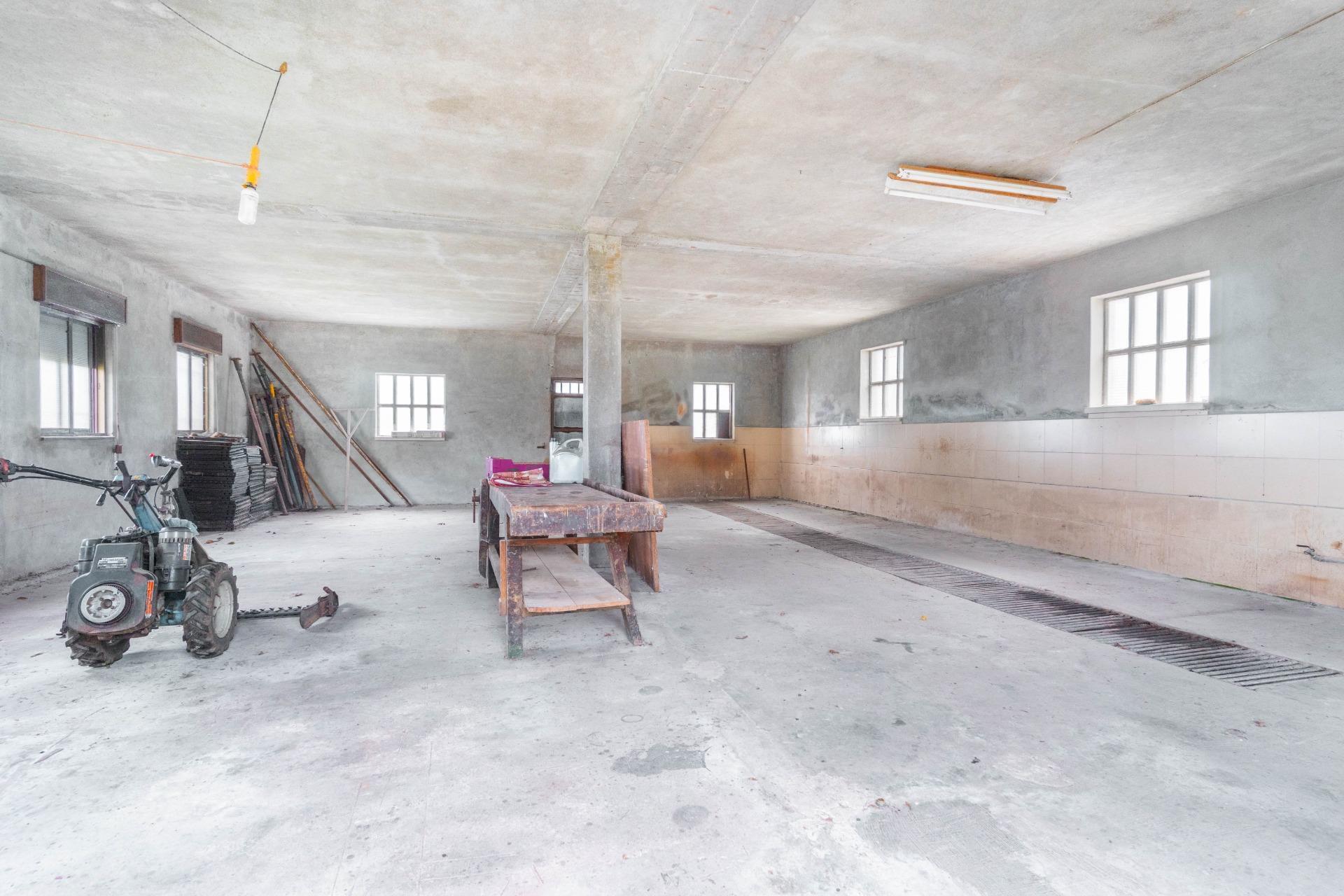 Fincas y solares-Venta-Langreo-2411543-Foto-34