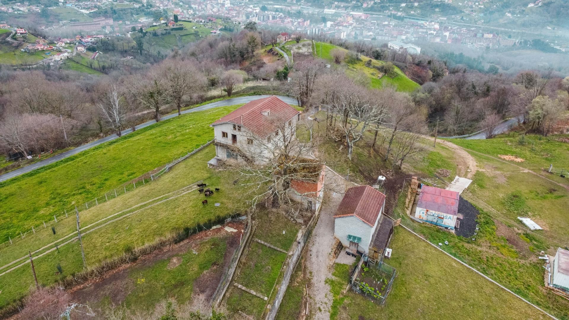 Fincas y solares-Venta-Langreo-2411543-Foto-36