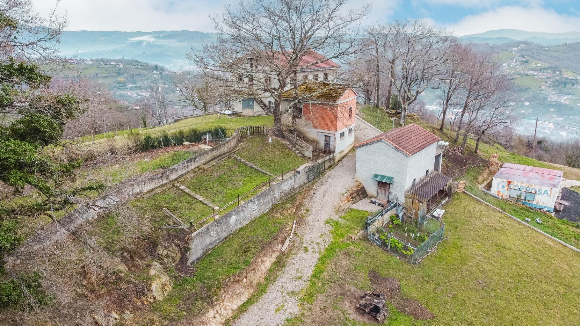 Fincas y solares-Venta-Langreo-2411543-Foto-39