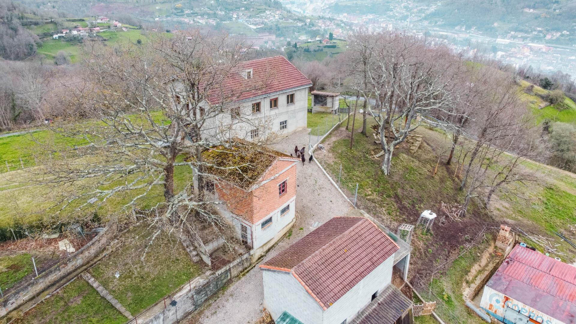 Fincas y solares-Venta-Langreo-2411543-Foto-41