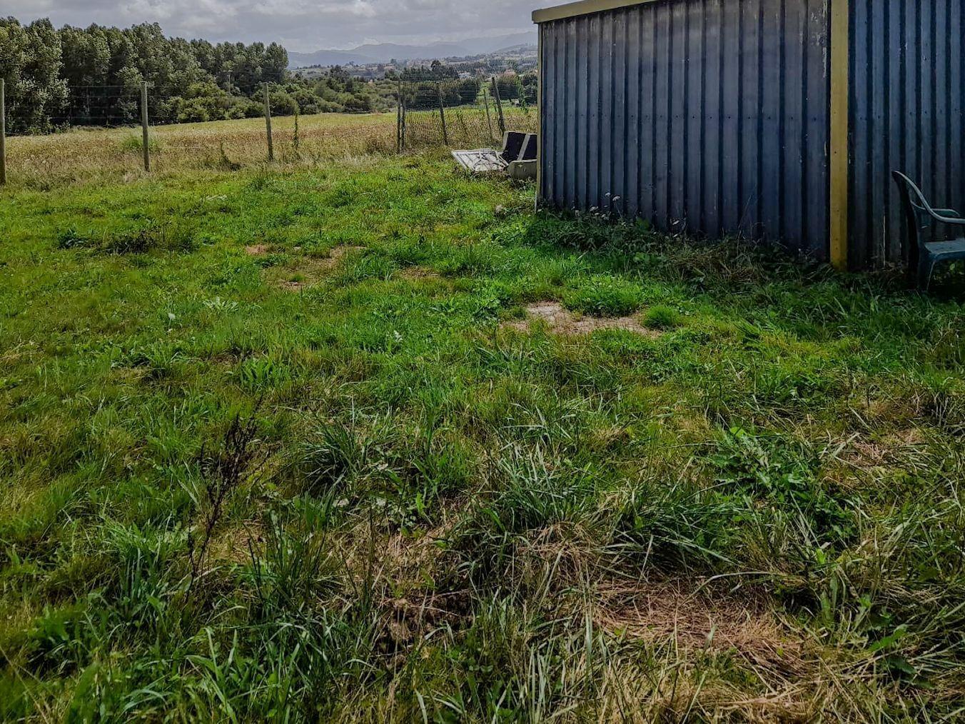 Fincas y solares-Venta-Miengo-1884823-Foto-7