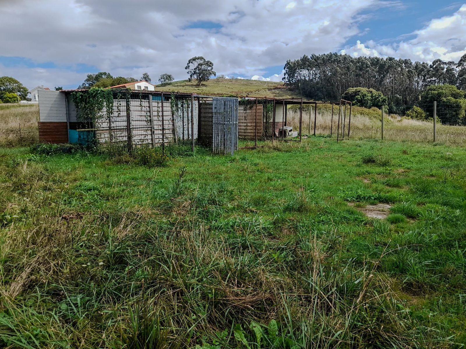 Fincas y solares-Venta-Miengo-1884823-Foto-3
