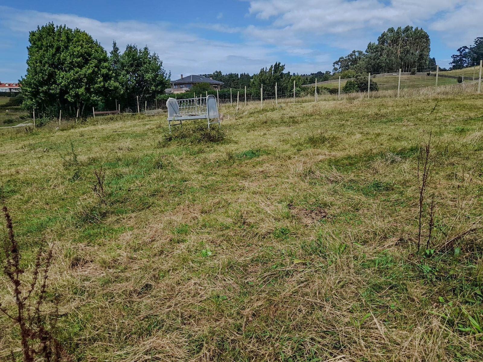 Fincas y solares-Venta-Miengo-1884823-Foto-5