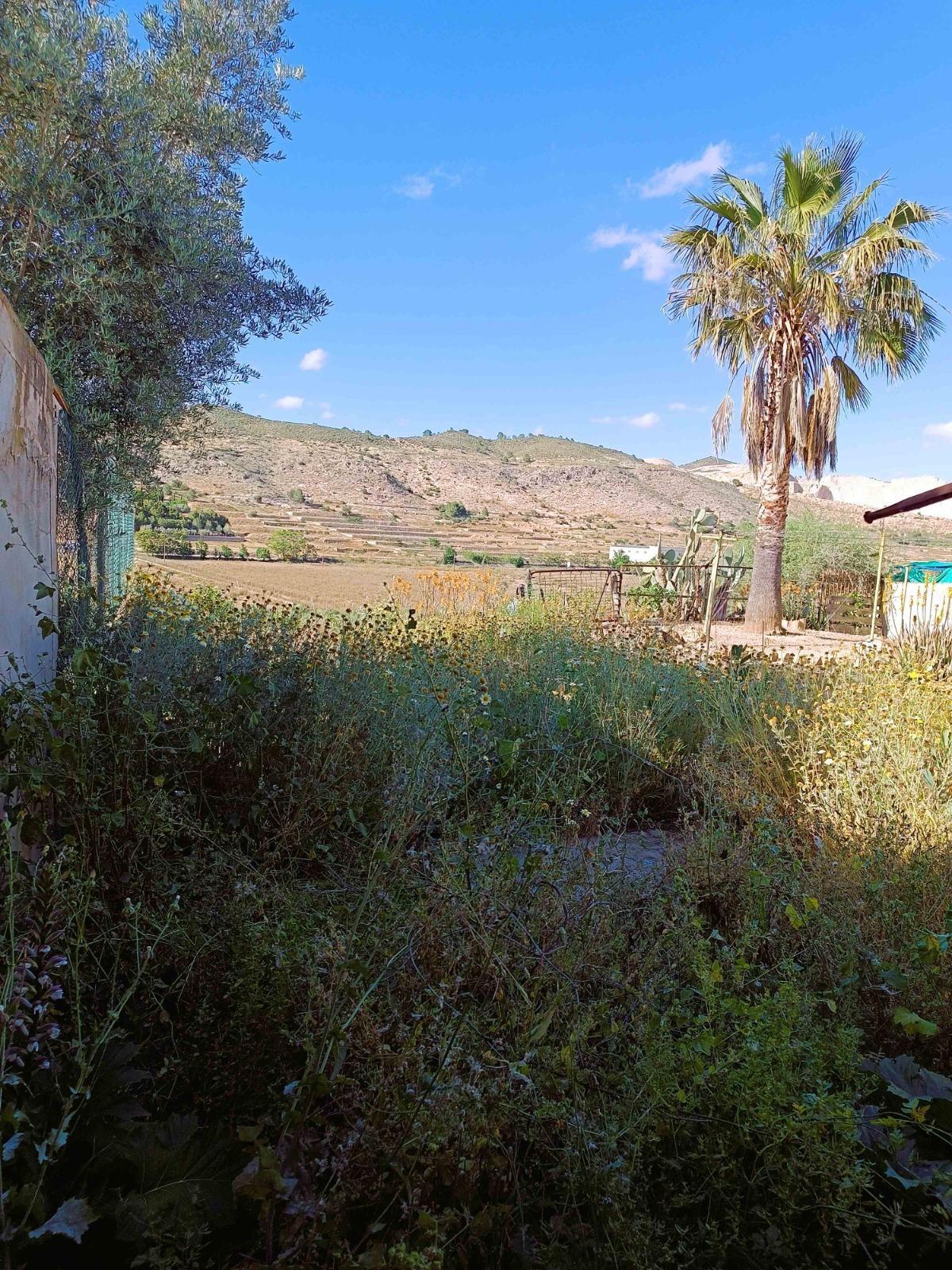 Pisos-Venta-Hondon de las Nieves-1750618-Foto-4