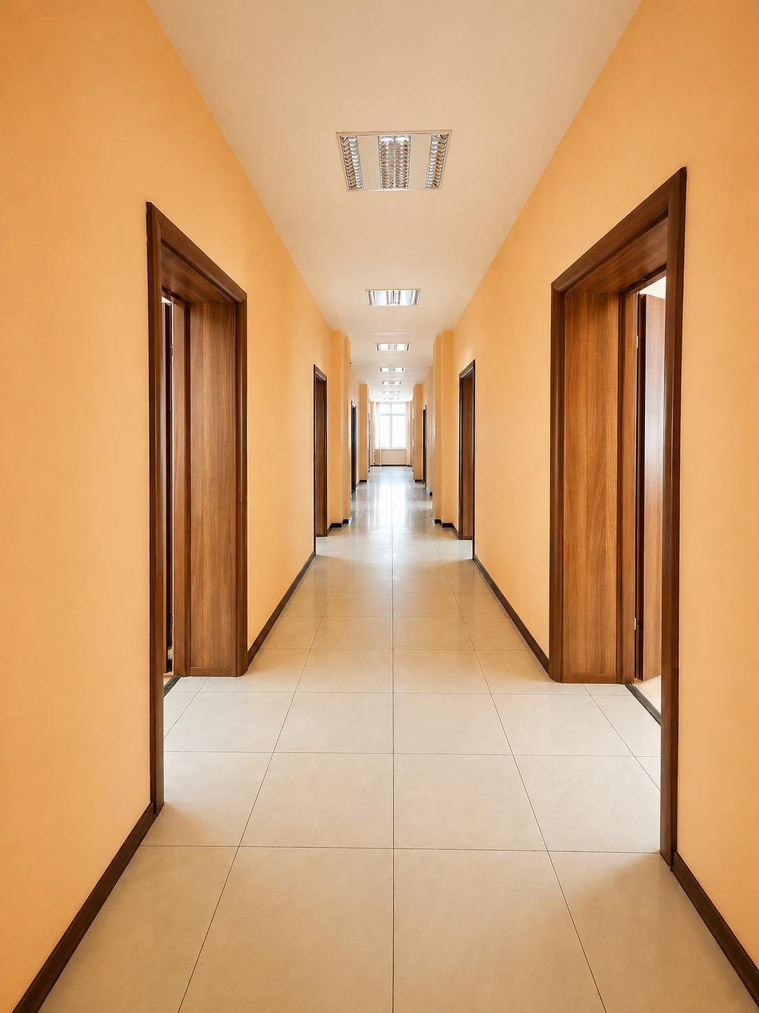 Oficinas-Alquiler-Sofia-2411558-Foto-5