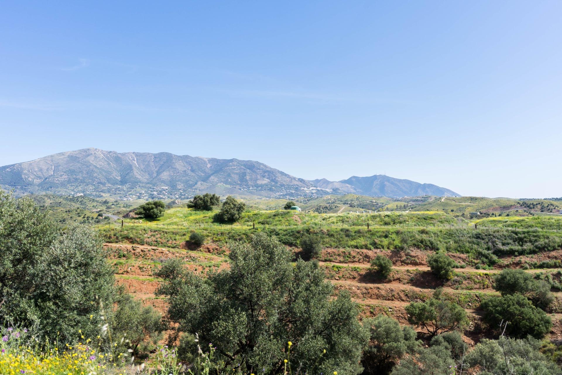 Suelo en venta, Mijas