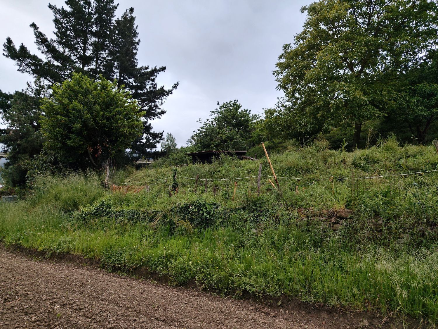 Suelo en venta, Campomanes, Asturias