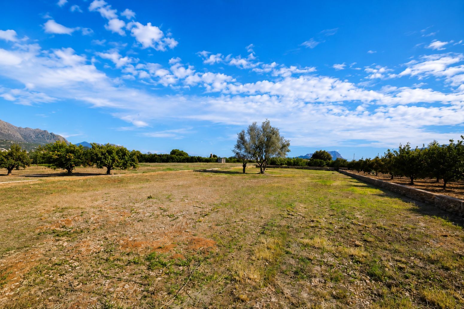 Suelo en venta, Alacant / Alicante, Alicante/Alacant, Alicante/Alacant