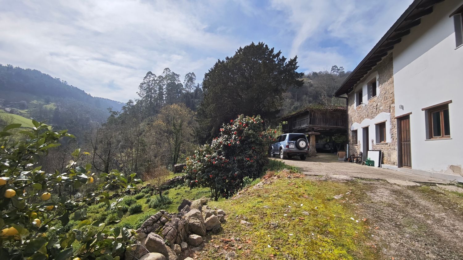Casas o chalets-Venta-Villaviciosa-2412482-Foto-55