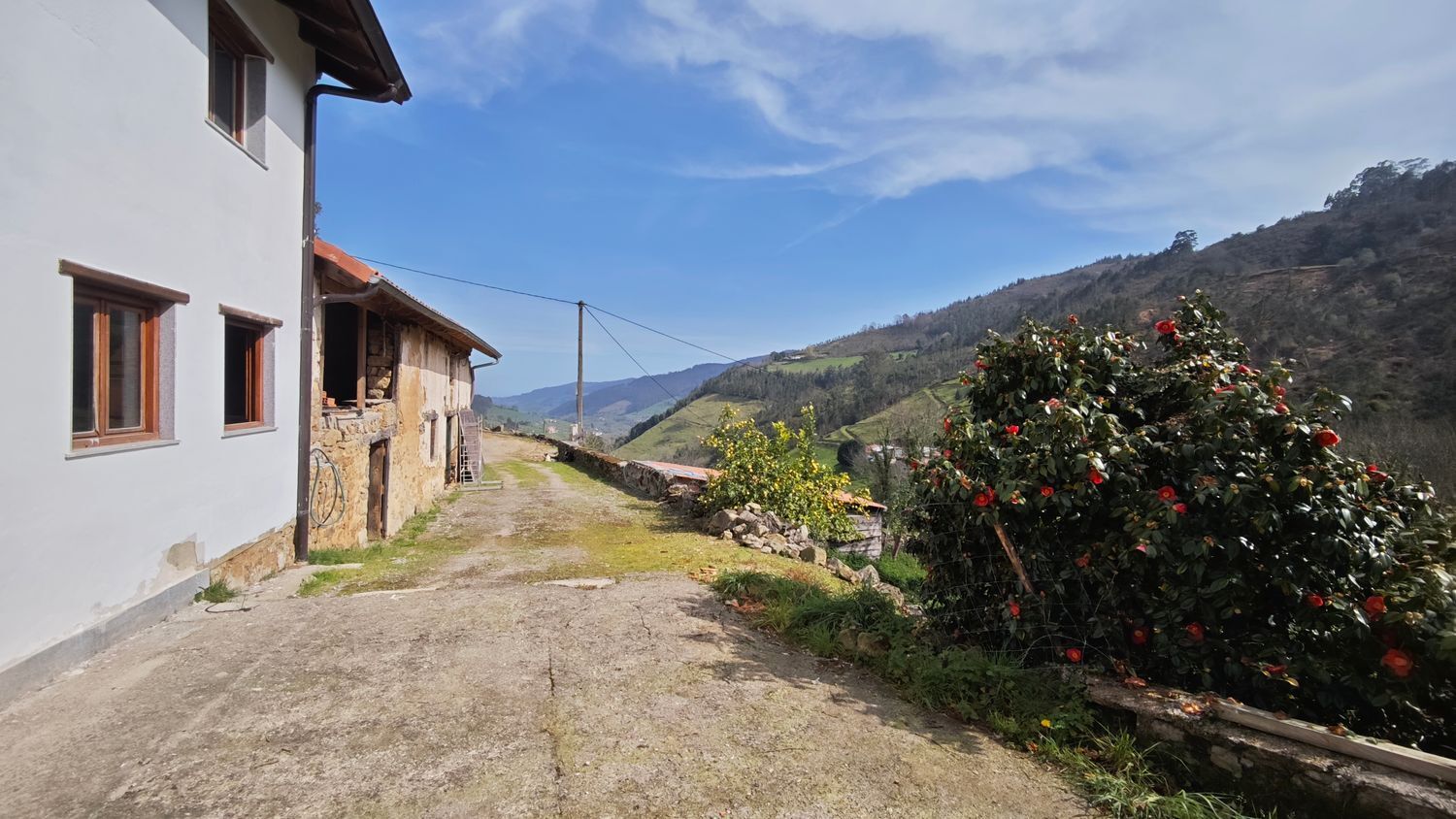 Casas o chalets-Venta-Villaviciosa-2412482-Foto-59