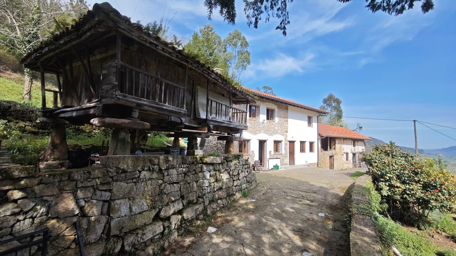 Casas o chalets-Venta-Villaviciosa-2412482-Foto-60