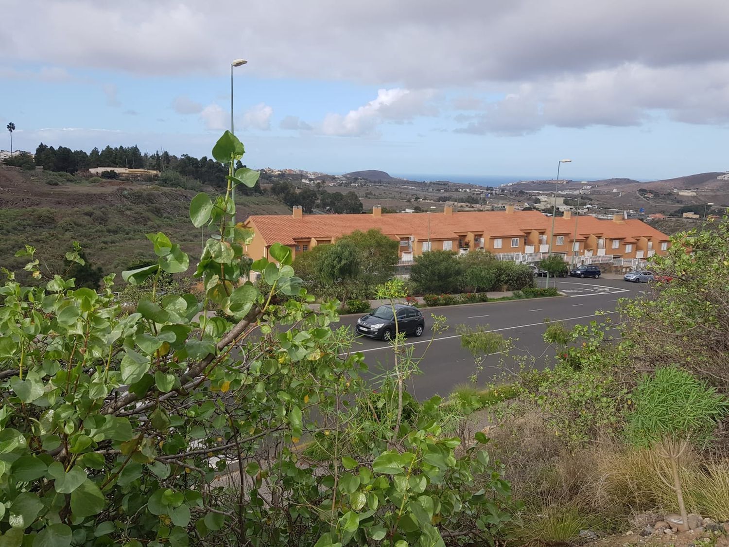Fincas y solares-Venta-Las Palmas de Gran Canaria-666508