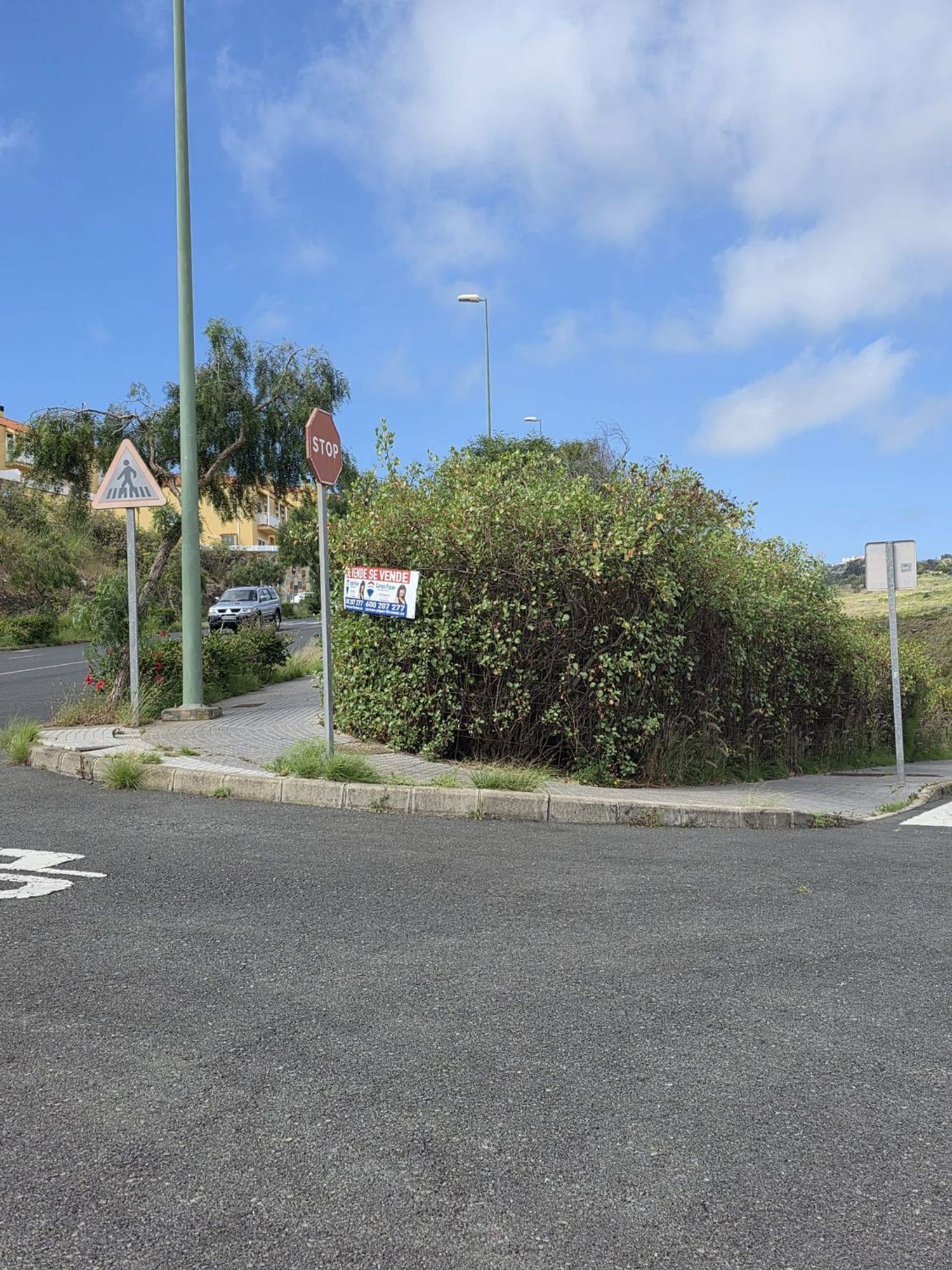 Fincas y solares-Venta-Las Palmas de Gran Canaria-666508-Foto-11