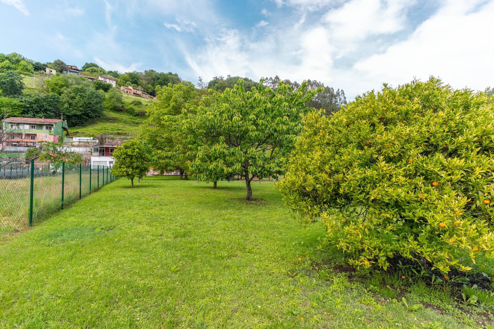 Casas o chalets-Venta-San MartÃ­n del Rey Aurelio-2411570-Foto-11