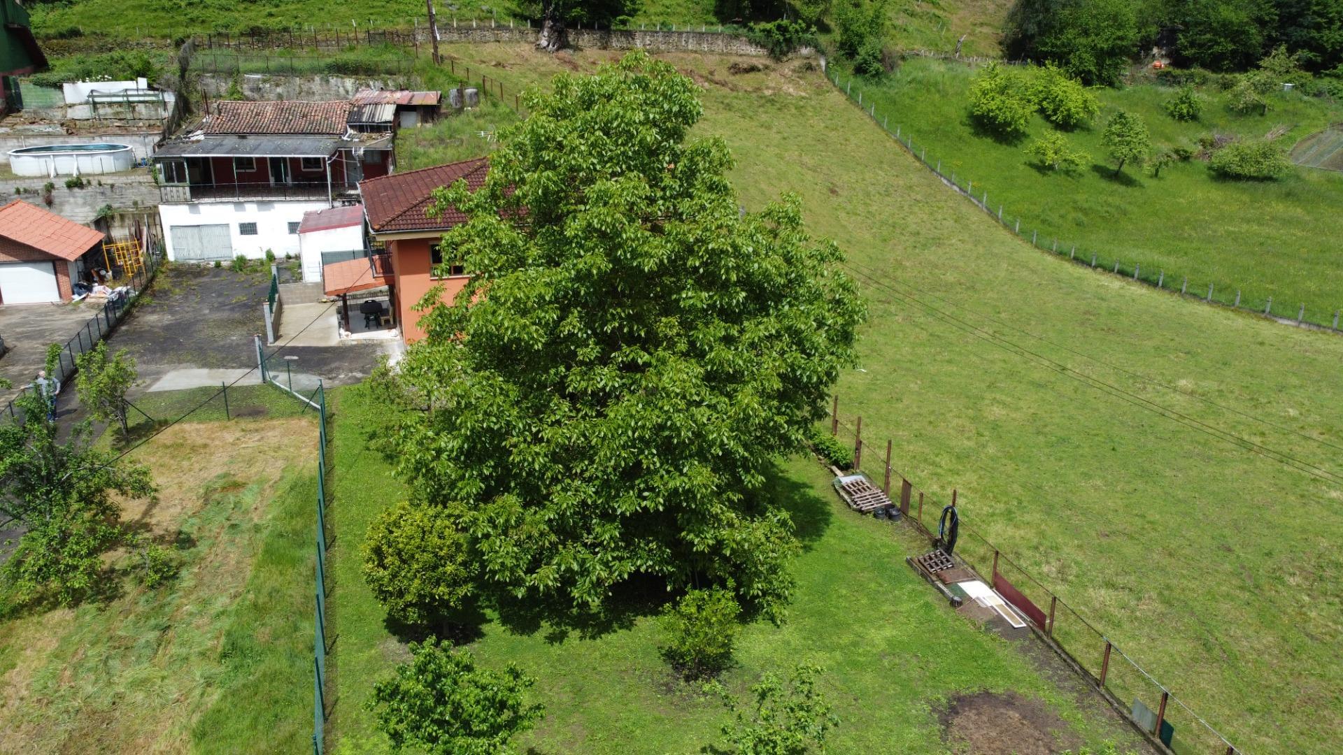 Casas o chalets-Venta-San MartÃ­n del Rey Aurelio-2411570-Foto-62