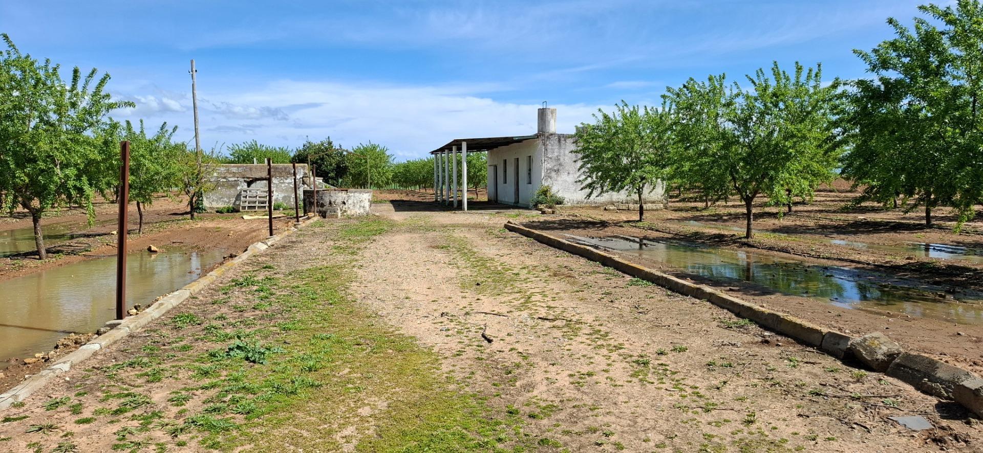 Suelo en venta, Utrera, Sevilla, Sevilla