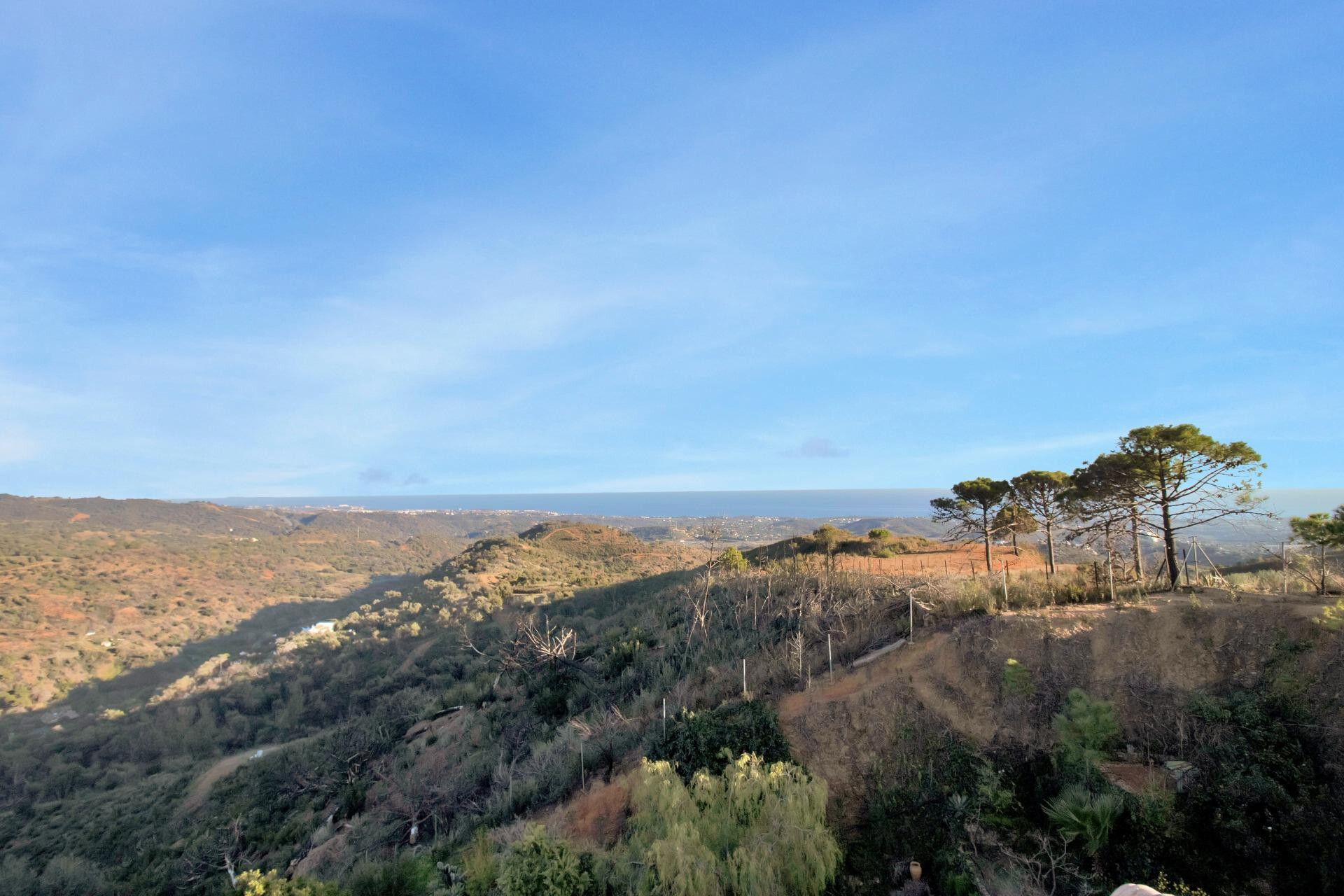 Casas o chalets-Venta-Estepona-1830744-Foto-42