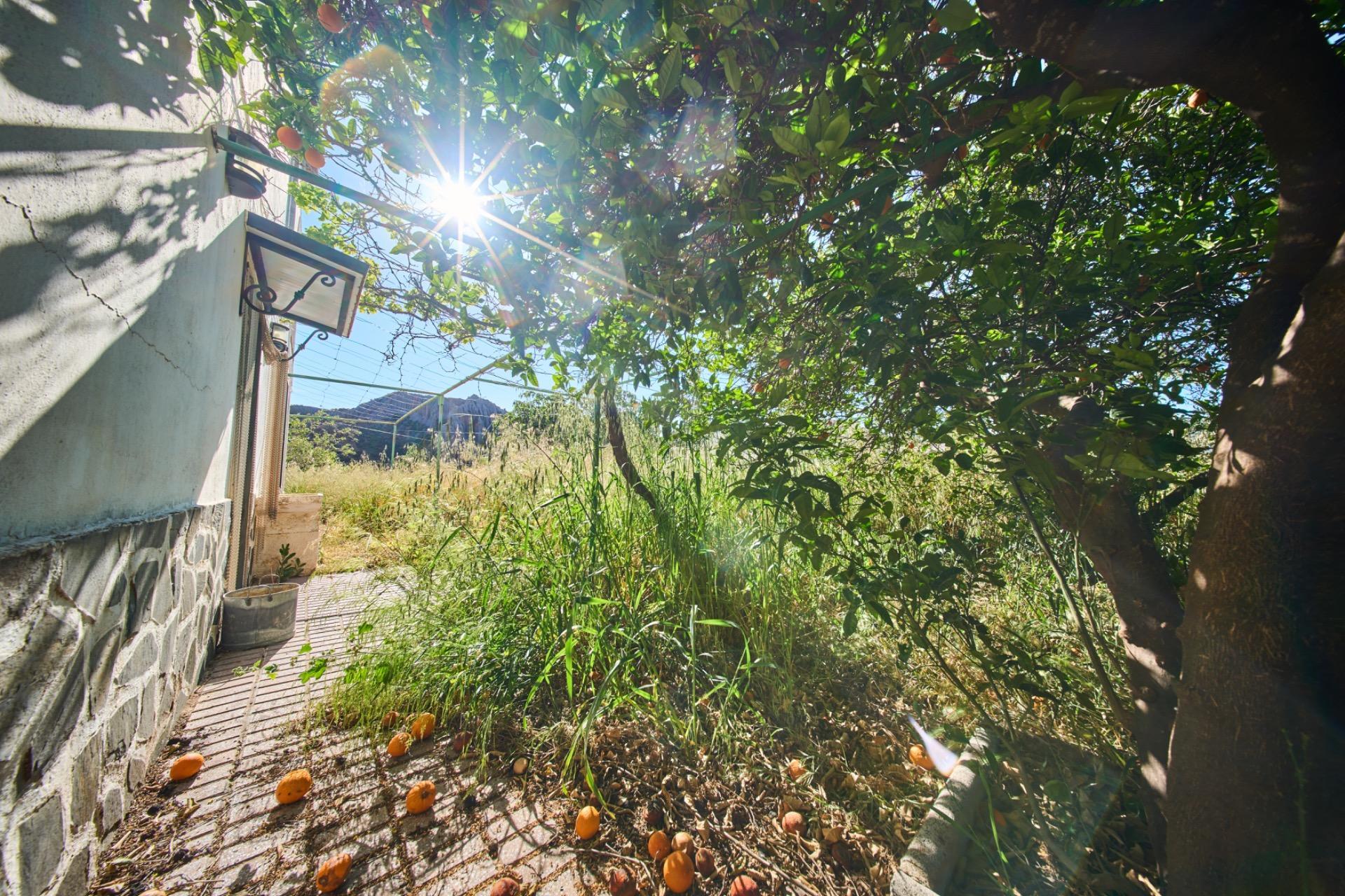 Casas o chalets-Venta-CÃ¡diar-2410797-Foto-30