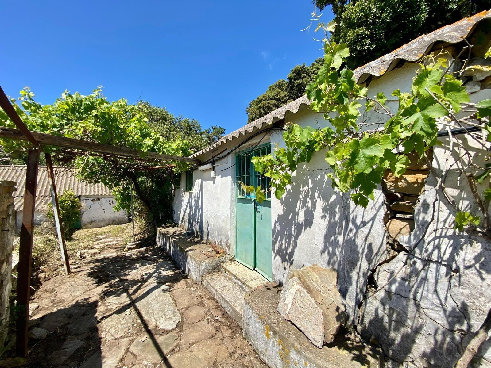 Fincas y solares-Venta-Tarifa-1830756-Foto-8