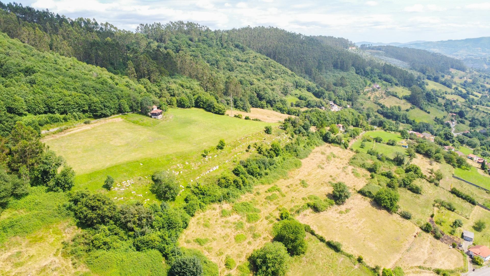 Fincas y solares-Venta-Oviedo-1867081