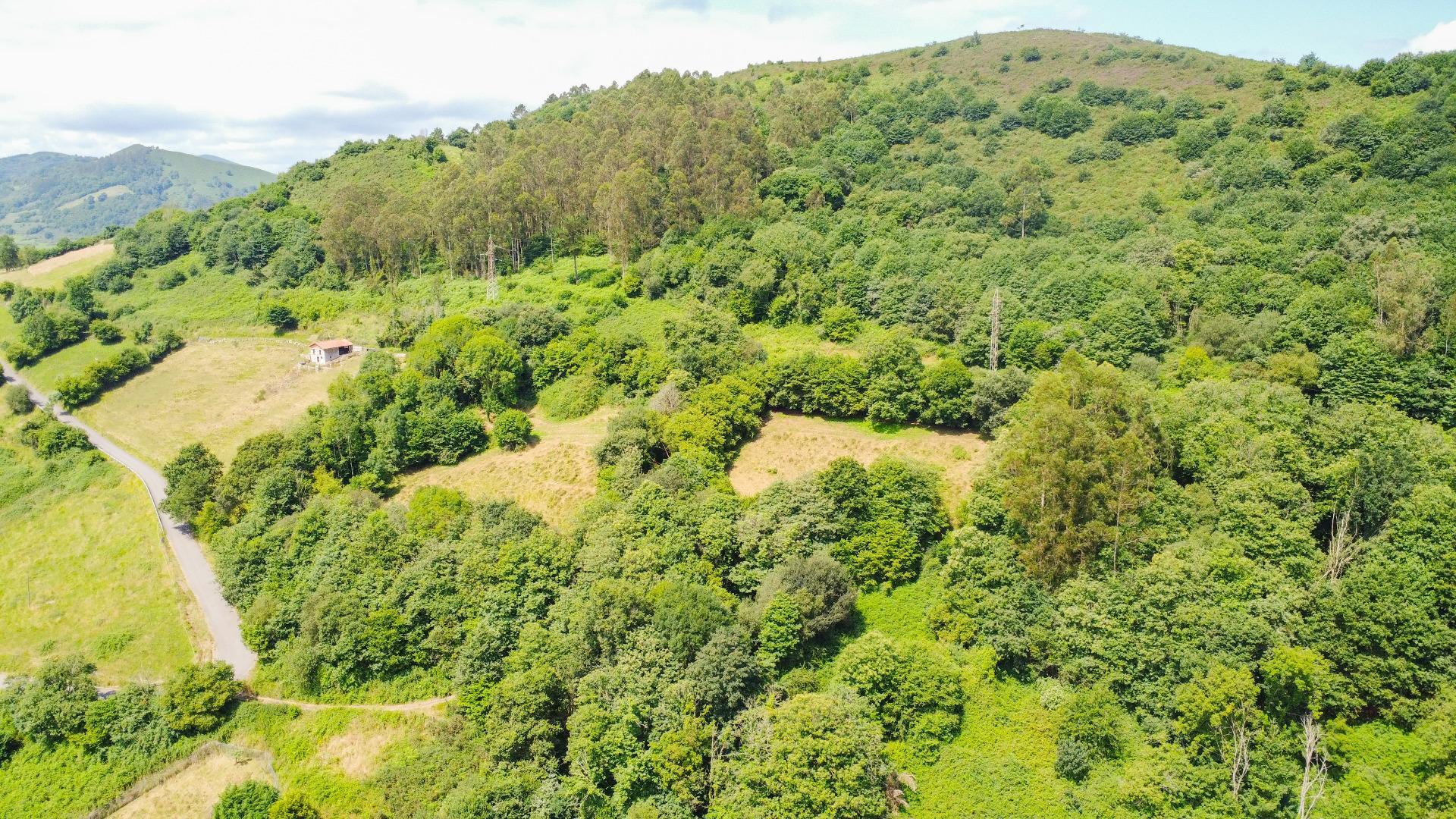 Fincas y solares-Venta-Oviedo-1867081-Foto-4