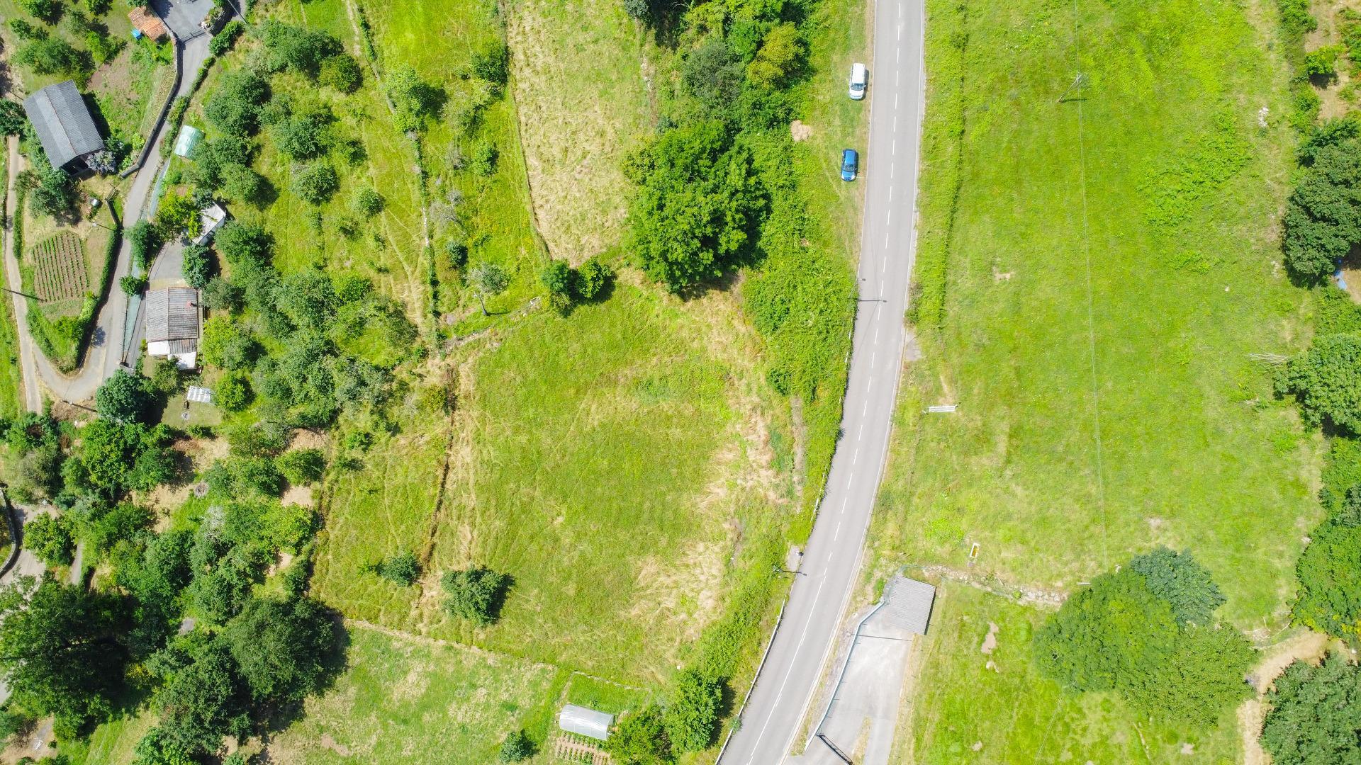 Fincas y solares-Venta-Oviedo-1867081-Foto-10