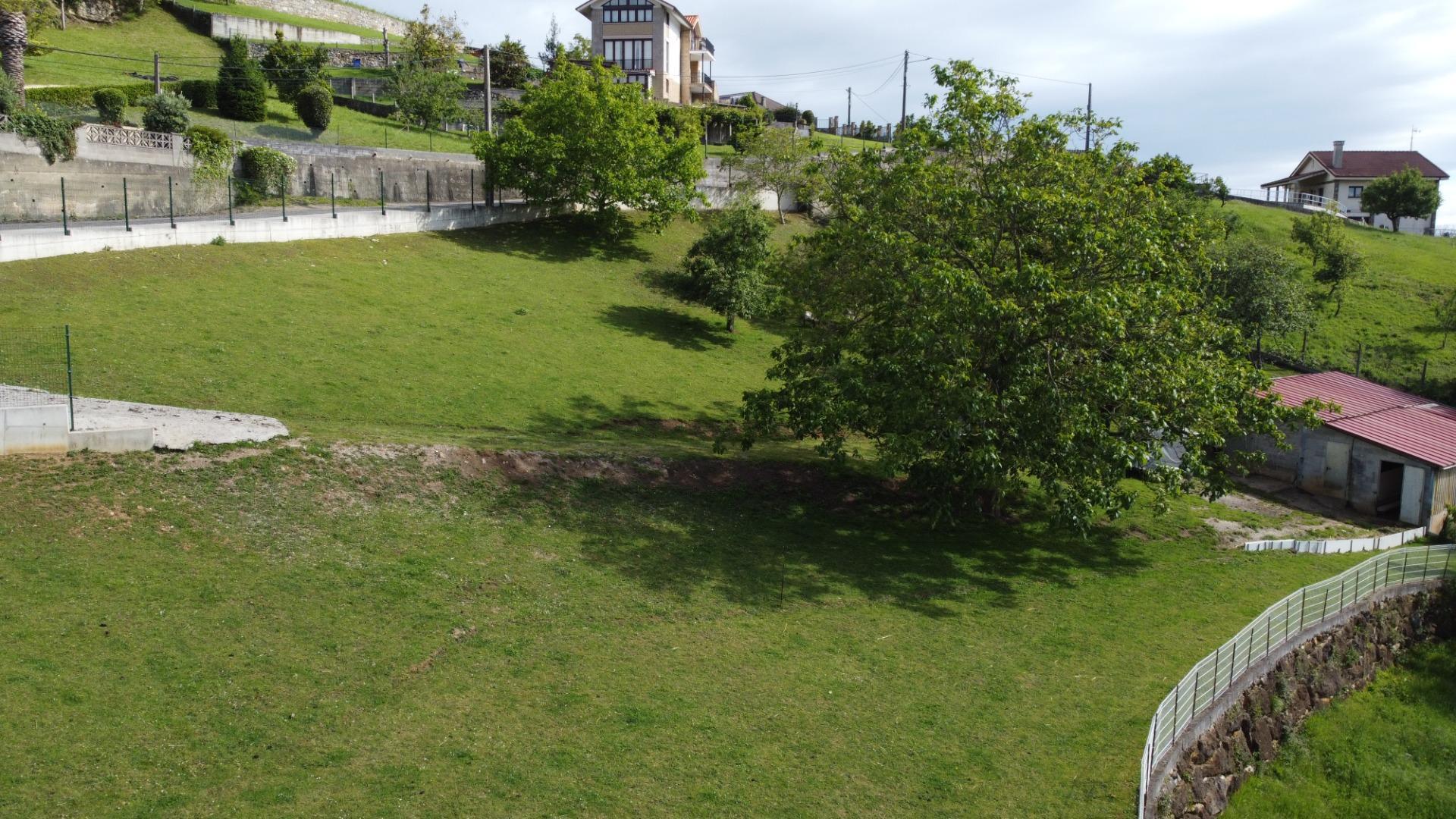 Fincas y solares-Venta-GijÃ³n-2411612-Foto-7