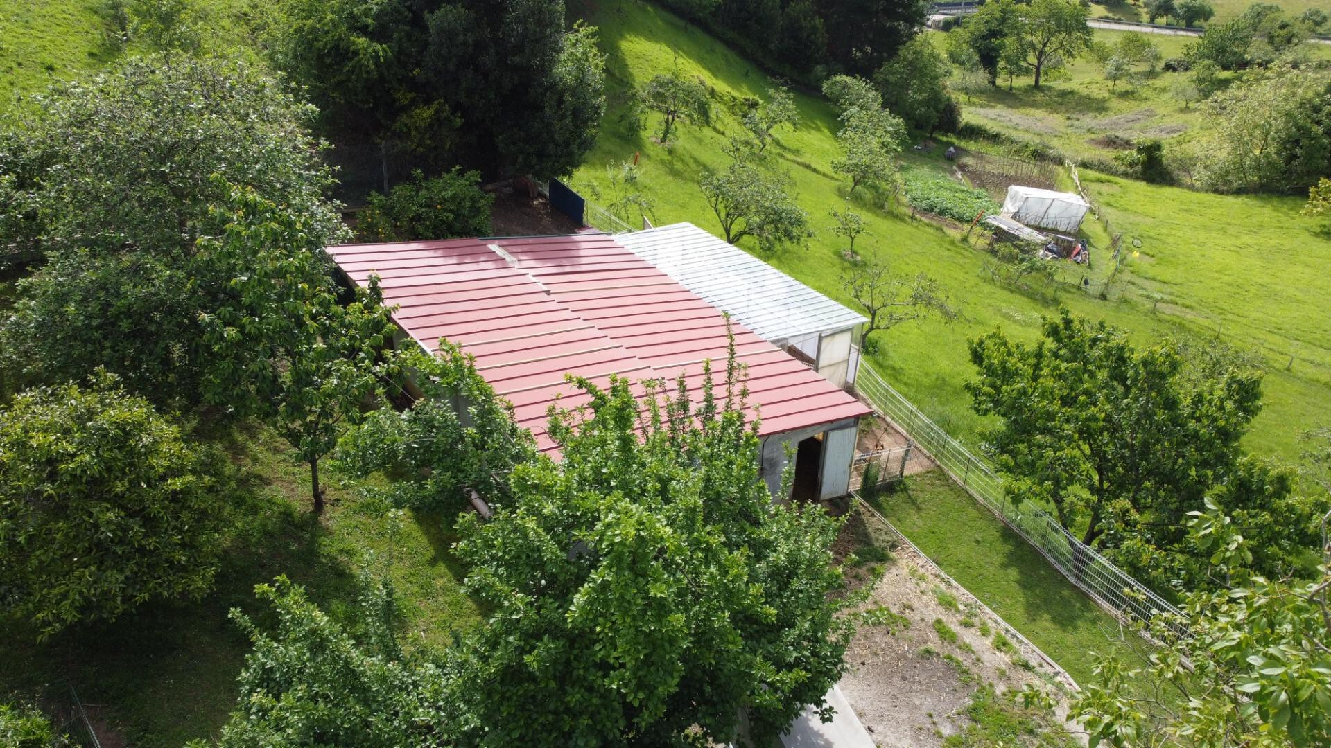 Fincas y solares-Venta-GijÃ³n-2411612-Foto-11