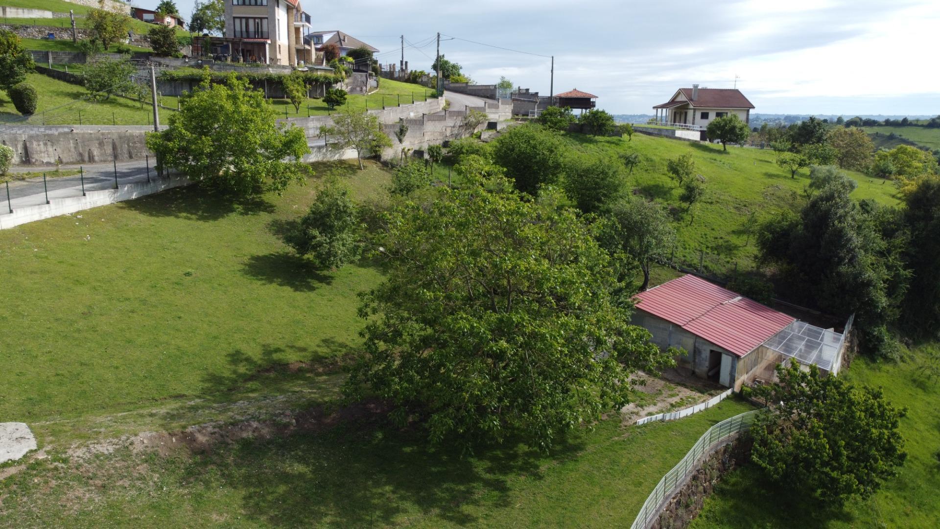 Fincas y solares-Venta-GijÃ³n-2411612-Foto-12