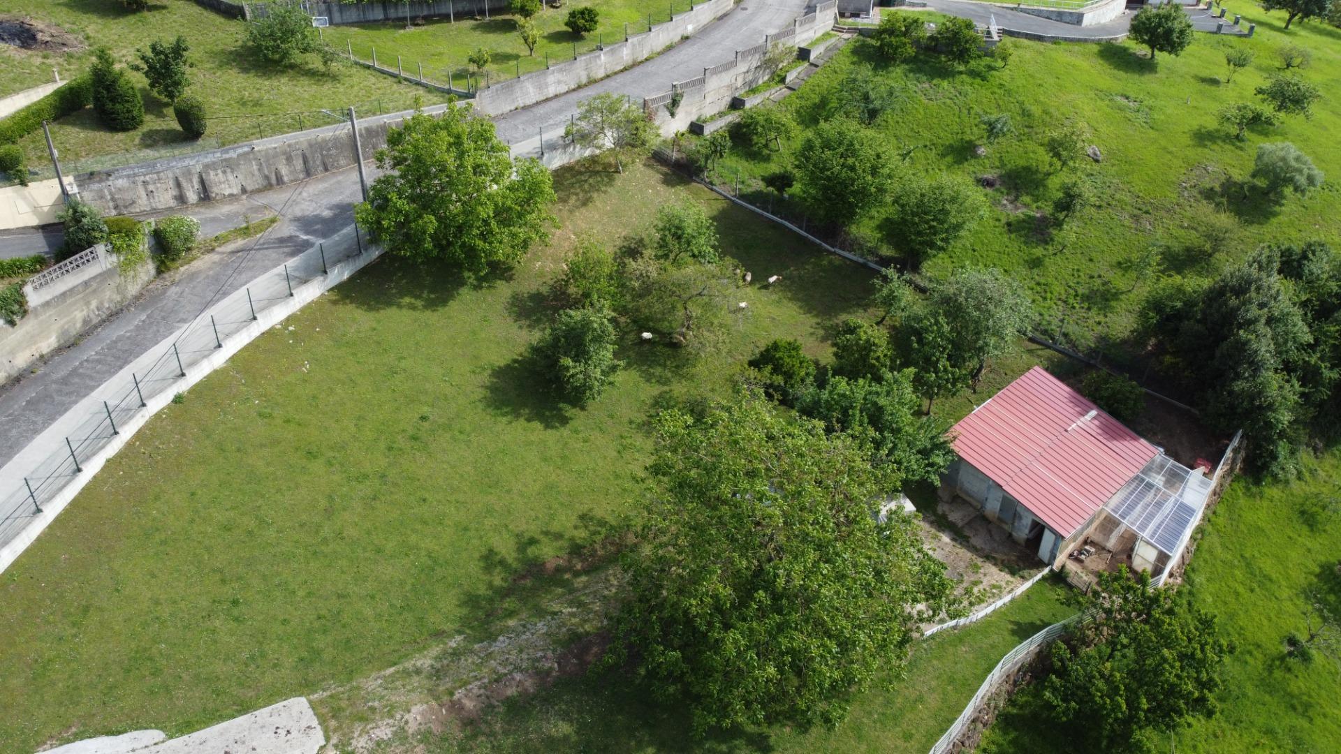 Fincas y solares-Venta-GijÃ³n-2411612-Foto-14