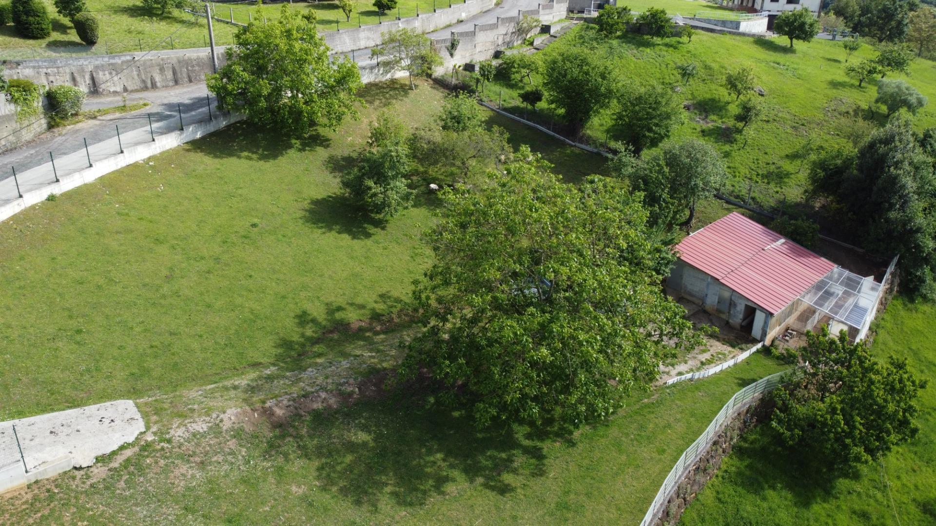 Fincas y solares-Venta-GijÃ³n-2411612-Foto-13