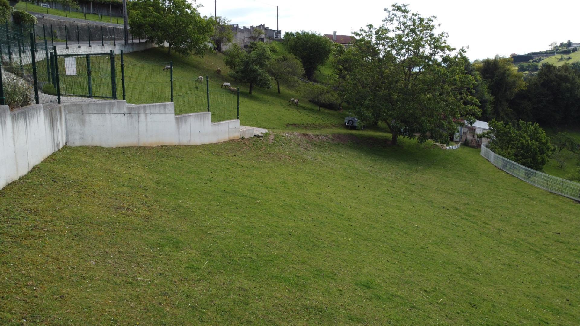 Fincas y solares-Venta-GijÃ³n-2411612-Foto-20