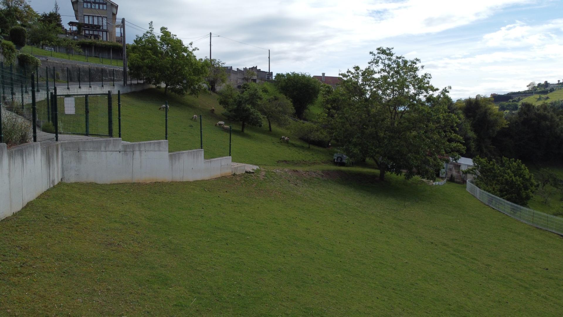 Fincas y solares-Venta-GijÃ³n-2411612-Foto-19