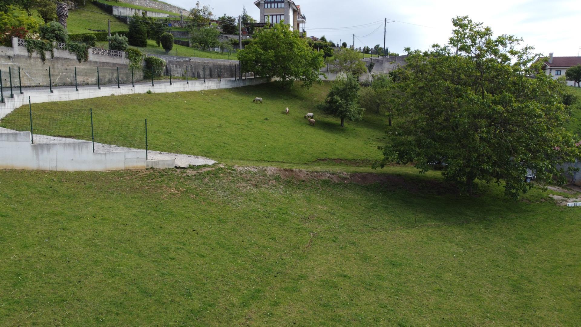 Fincas y solares-Venta-GijÃ³n-2411612-Foto-22