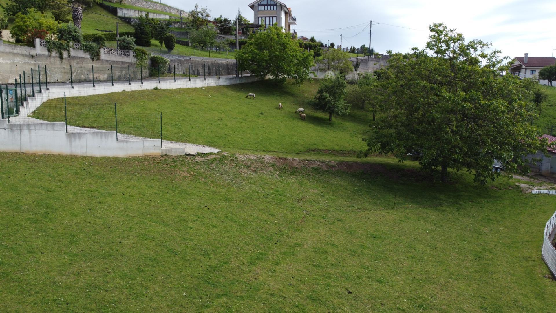 Fincas y solares-Venta-GijÃ³n-2411612-Foto-23