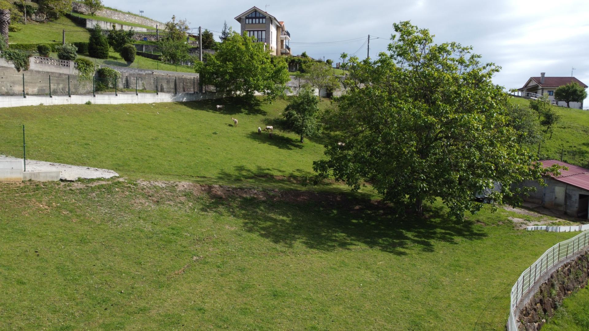 Fincas y solares-Venta-GijÃ³n-2411612-Foto-33